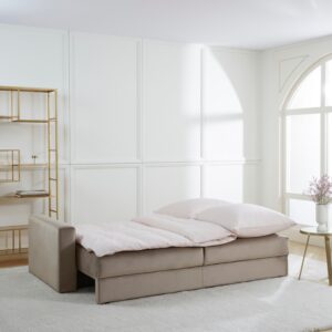 Sofa cum bed
